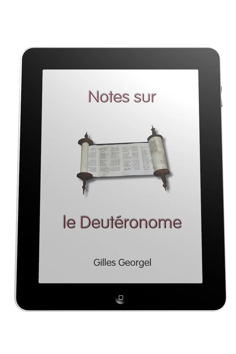 Notes sur le Deutéronome - Ebook