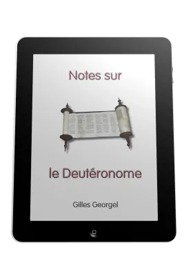 Notes sur le Deutéronome - Ebook