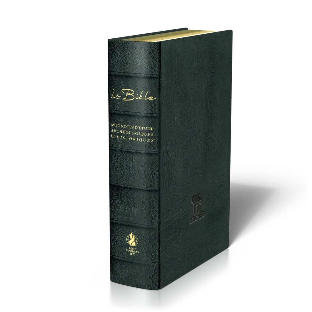 Bible Segond 21 «archéo», noire - couverture souple, cuir véritable, tranches dorées, avec notes...