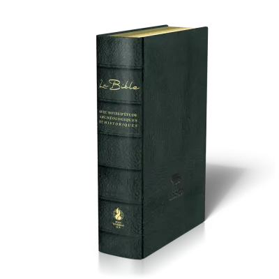 Bible Segond 21 «archéo», noire - couverture souple, cuir véritable, tranches dorées, avec notes...