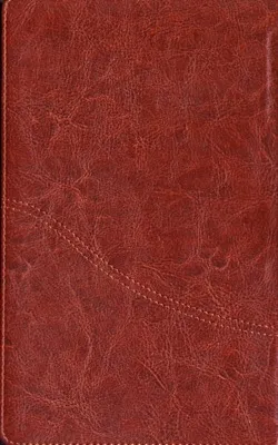 Farsi (Persan), Bible New Millenium Version