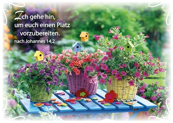PK BLUMEN AUF GARTENTISCH, 12 STÜCK - POSTKARTE