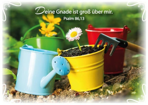 PK BLUMEN IN TÖPFEN, 12 STÜCK - POSTKARTE