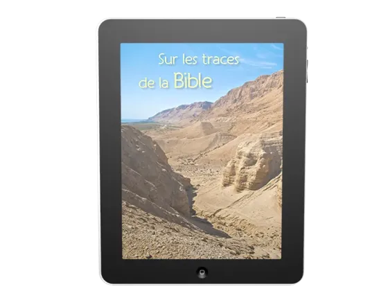 Sur les traces de la Bible - Ebook
