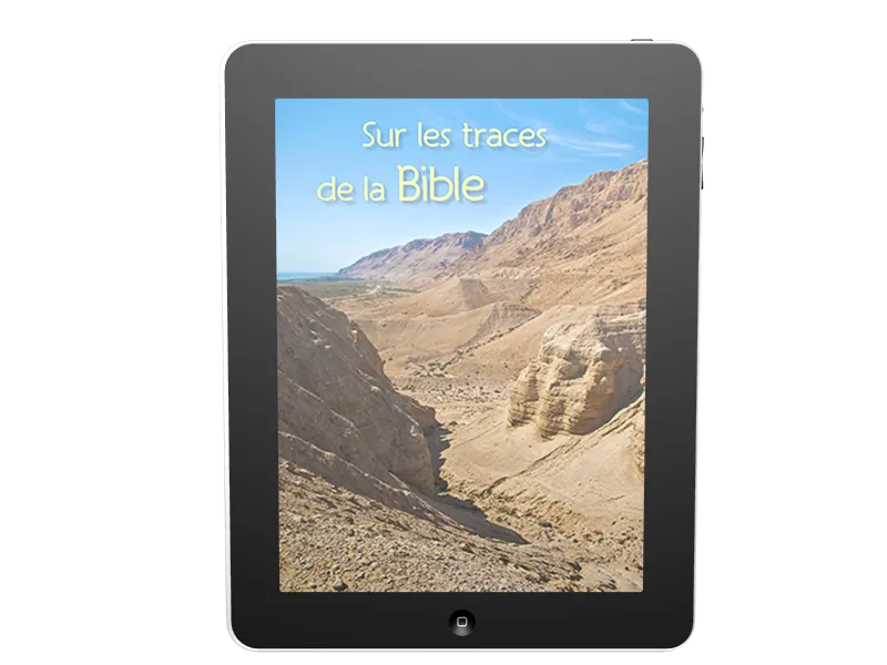 Sur les traces de la Bible - ePub