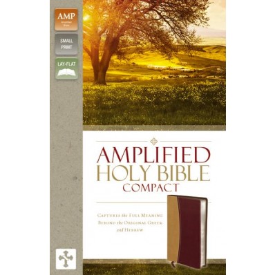 Anglais, Bible Amplified, compact, similicuir, couverture bicolore beige/bordeaux