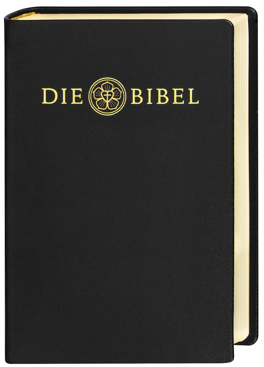 Die Luther Bibel mit Apokryphen und Familiechronik, Goldschnitt, Rev. 2017, Lederausgabe Standard