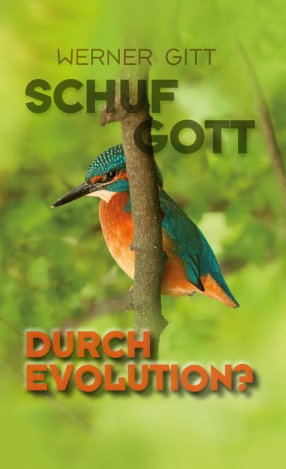 SCHUF GOTT DURCH EVOLUTION? - ePub