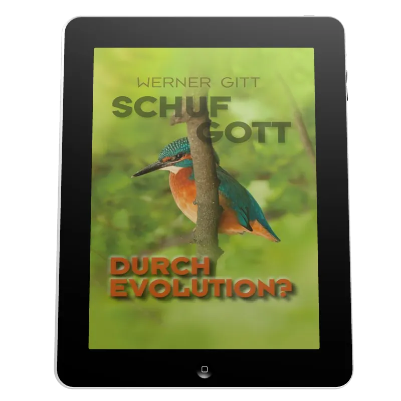 SCHUF GOTT DURCH EVOLUTION? - EBOOK