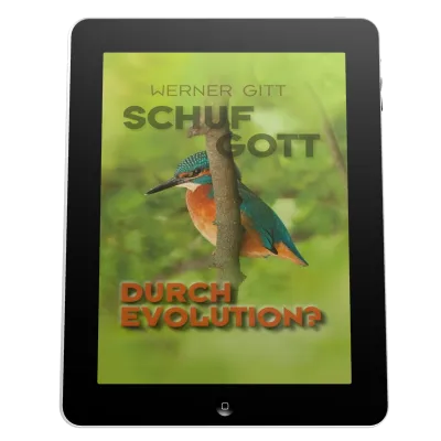 SCHUF GOTT DURCH EVOLUTION? - ePub
