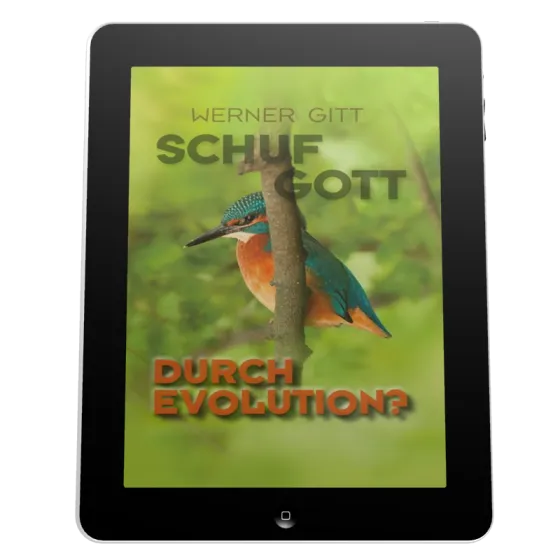 SCHUF GOTT DURCH EVOLUTION? - ePub