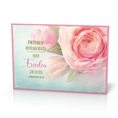 PK Frieden hinterlasse ich euch/rosa Ros - 12 Stück - Postkarte