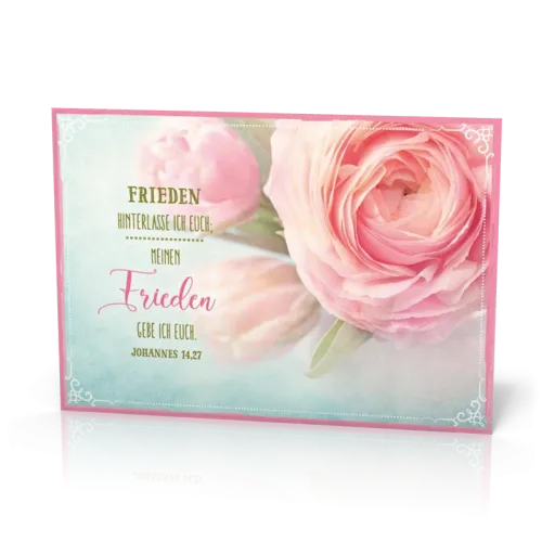 PK Frieden hinterlasse ich euch/rosa Ros - 12 Stück - Postkarte