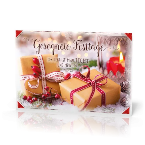 PK 12 Stück Hagebutte am Päckchen