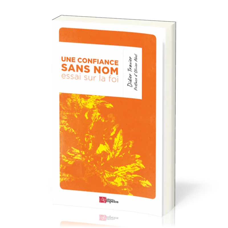 Une confiance sans nom - Essai sur la foi