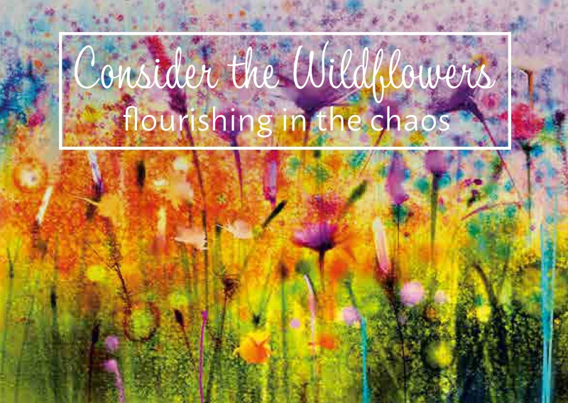 Anglais - Consider the Wildflowers - flourishing in the chaos