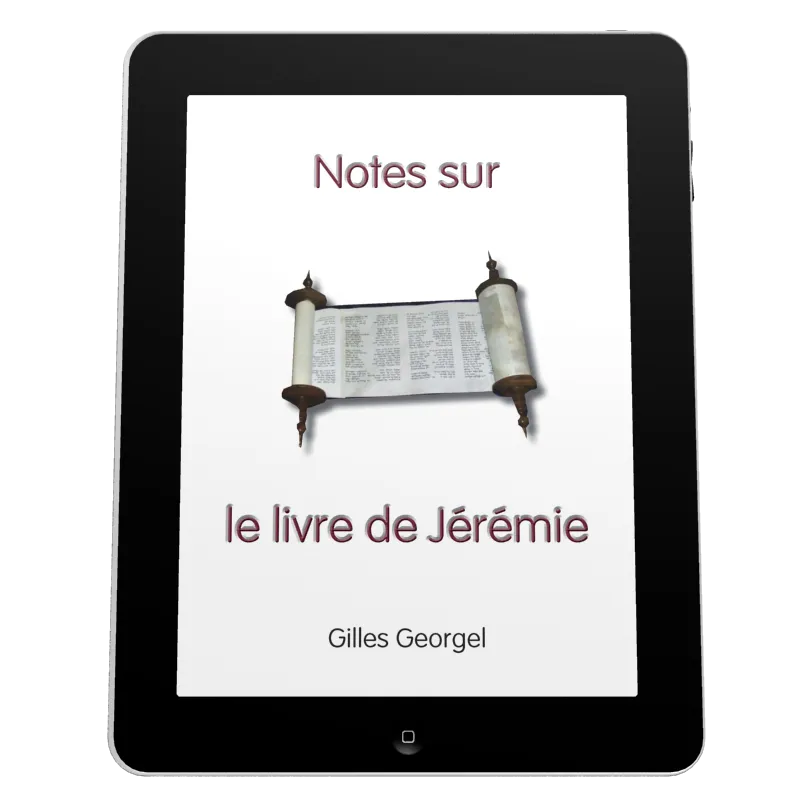 Notes sur le livre de Jérémie - Ebook
