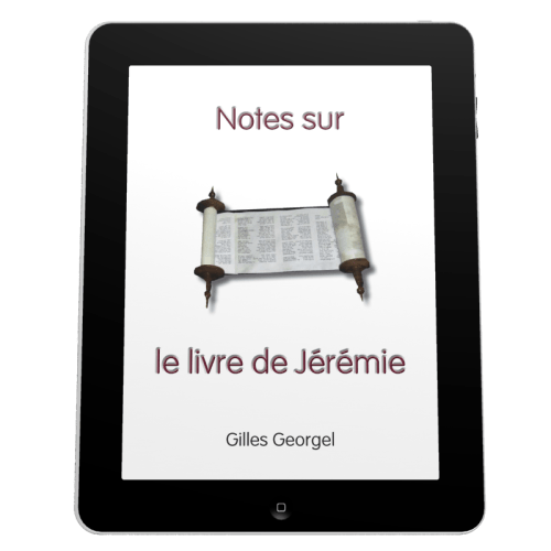 Notes sur le livre de Jérémie - Ebook