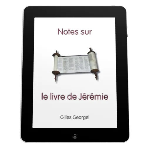 Notes sur le livre de Jérémie - Ebook