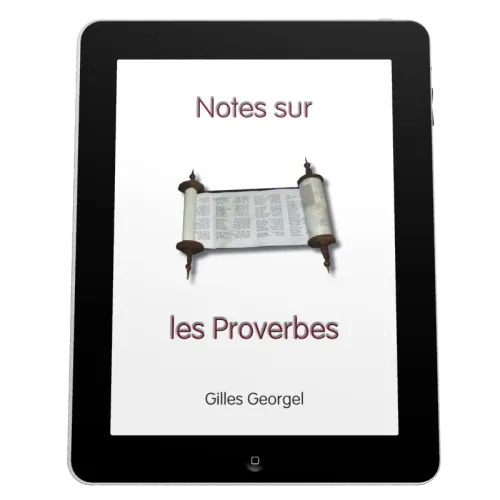 Notes sur les Proverbes - Ebook