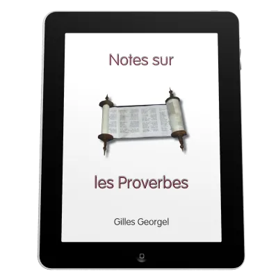 Notes sur les Proverbes - ePub