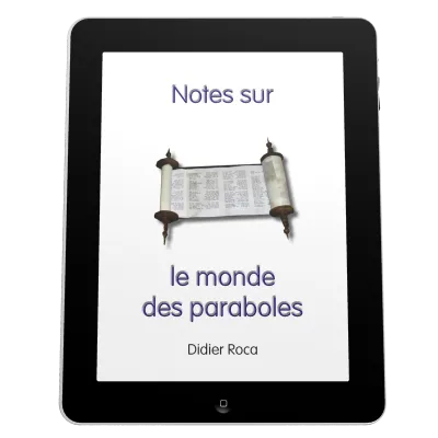 Notes sur le monde des paraboles - ePub