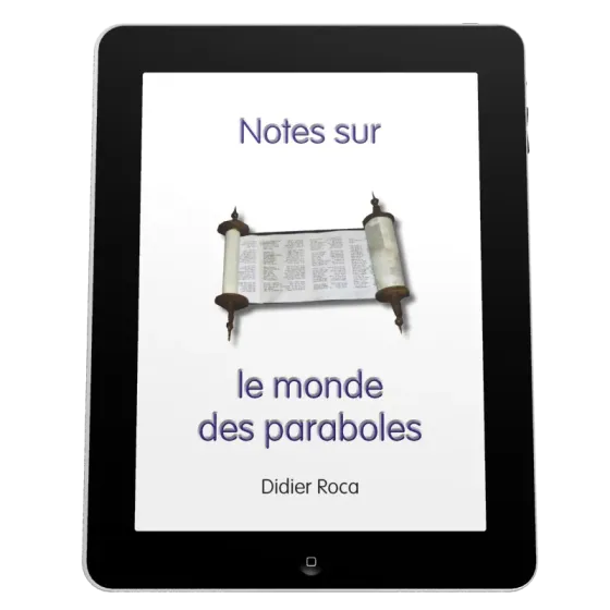 Notes sur le monde des paraboles - ePub