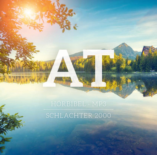 Das AT - Schlachter 2000 auf CD (im MP3-Format)