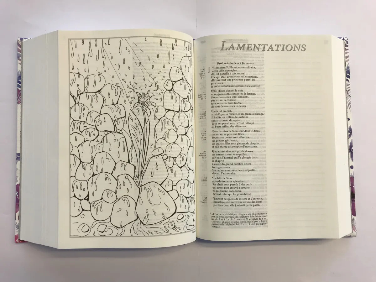 Bible Segond 21 Journal de bord - couverture rigide illustrée verte