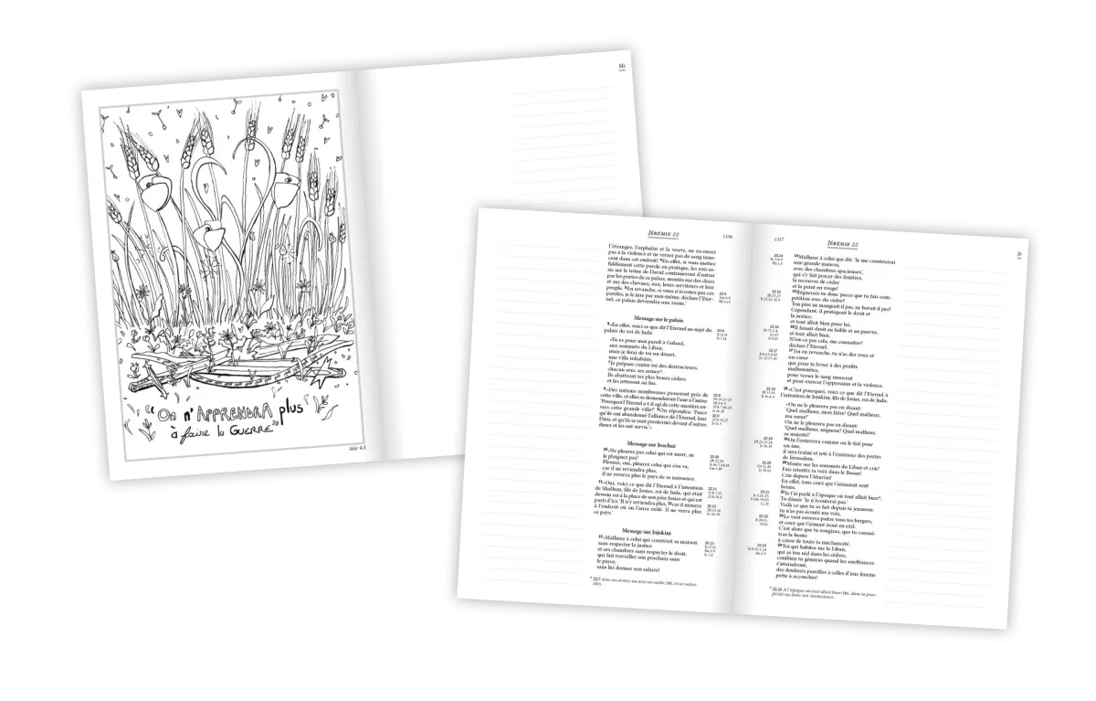 Bible Segond 21 Journal de bord - couverture rigide illustrée verte