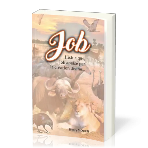 Job historique, Job apaisé par la création divine…