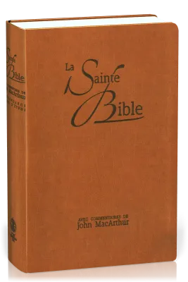 Bible d'étude Segond NEG MacArthur, marron - couverture souple, vivella, avec onglets