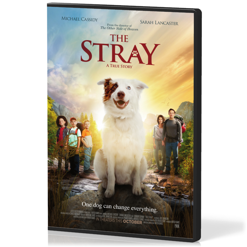 The Stray, a true dog tale - ANG DVD
