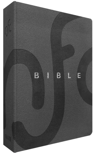 Bible, Nouvelle Français courant, luxe - couverture souple, simili cuir gris, tranche argent,...