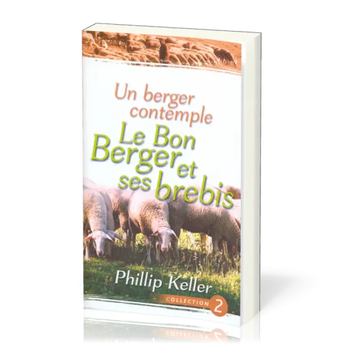 Un berger contemple - Le Bon Berger et ses brebis
