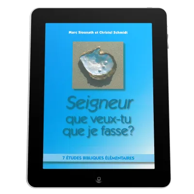 Seigneur que veux-tu que je fasse? - 7 études bibliques élémentaires - ePub
