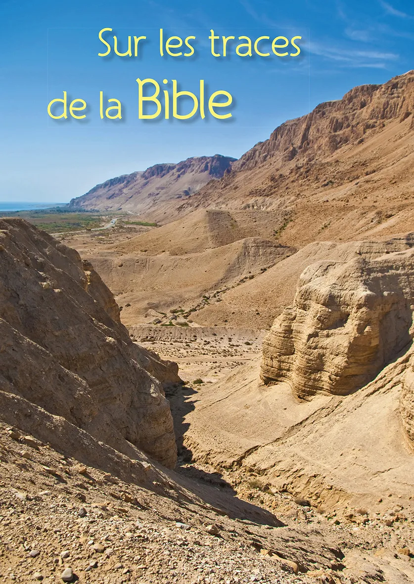Sur les traces de la Bible - ePub