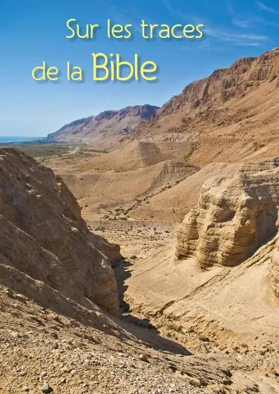 Sur les traces de la Bible - ePub