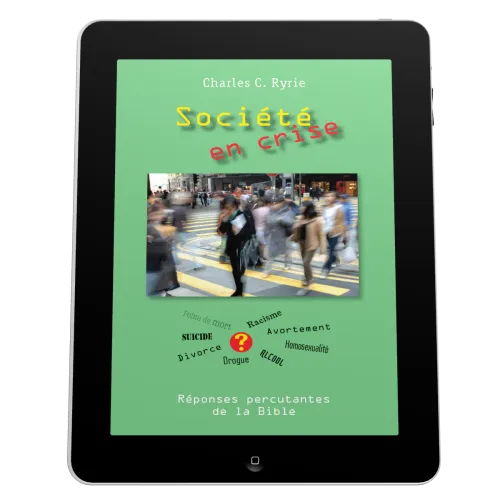 Société en crise - Ebook