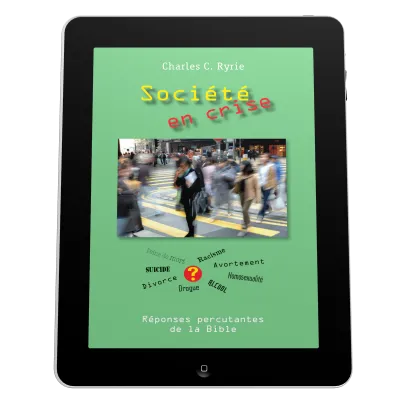 Société en crise - ePub