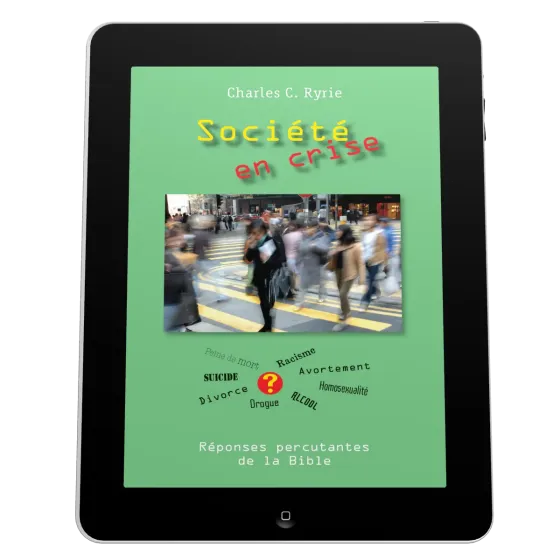 Société en crise - ePub