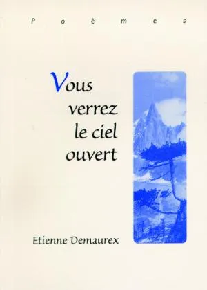Vous verrez le ciel ouvert - ePub