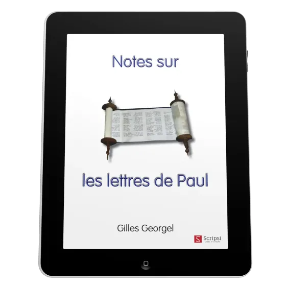 Notes sur les lettres de Paul - ePub