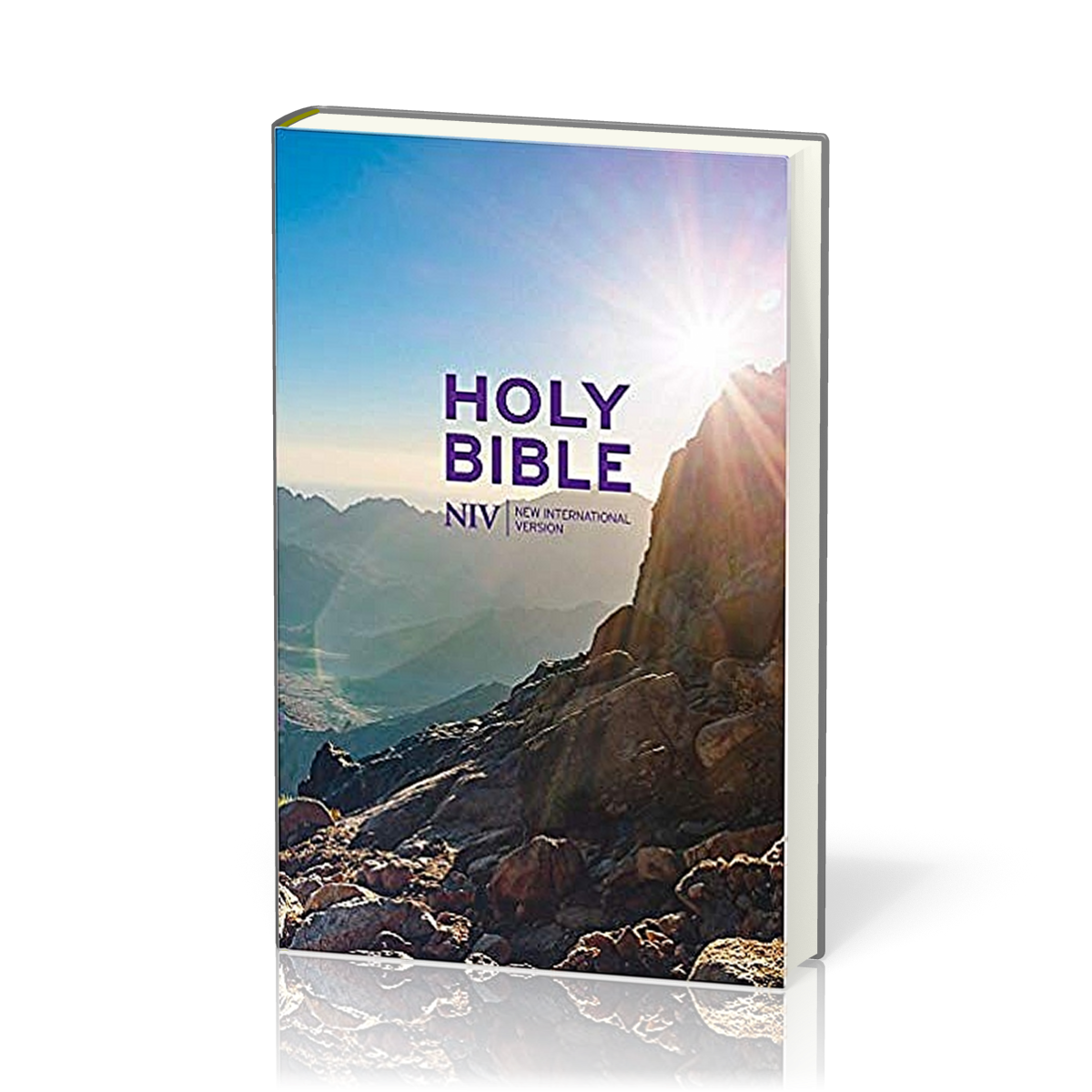 Anglais, Bible NIV Thinline Value Hardback Bible - [New International Version]