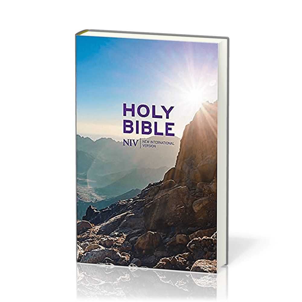 Anglais, Bible NIV, cartonnée, couverture illustrée - NIV Thinline Value Hardback Bible