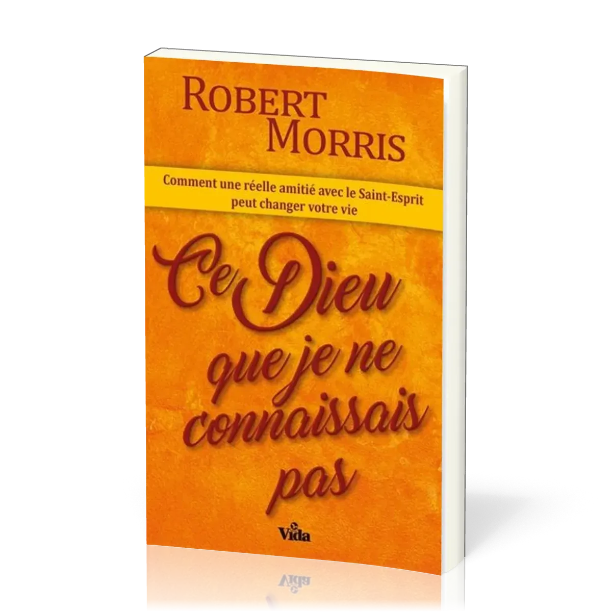 Ce Dieu que je ne connaissais pas - Comment une réelle amitié avec le Saint-Esprit peut changer...