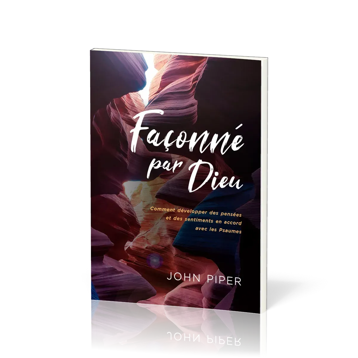 Façonné par Dieu - Comment développer des pensées et des sentiments en accord avec les Psaumes