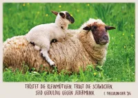 Postkartenbox Guter Hirte - 12 verschiedene Postkarten in einer Box mit Magnetverschluss