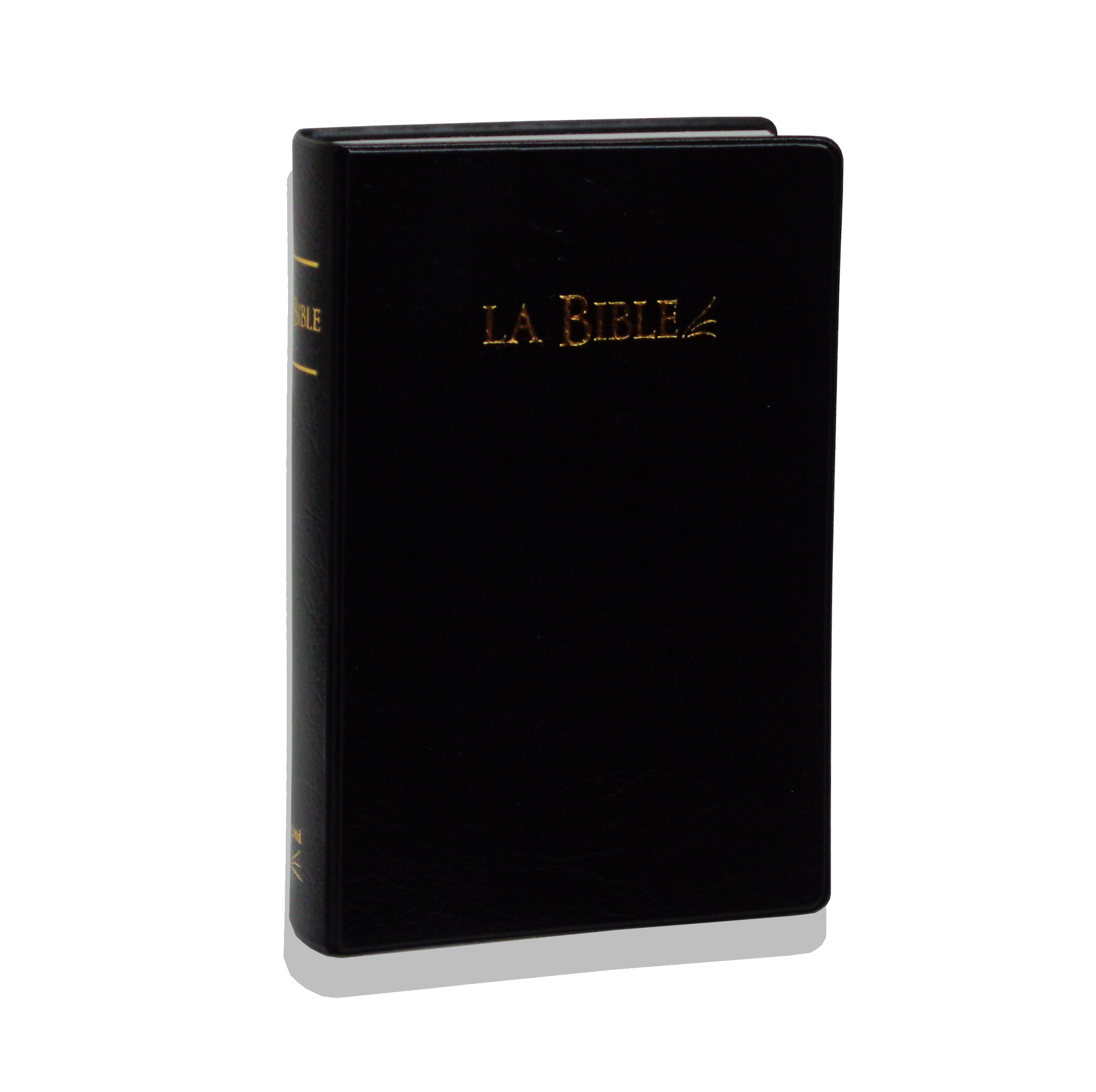 Bible Segond 21 compacte, noire - couverture souple, flexa