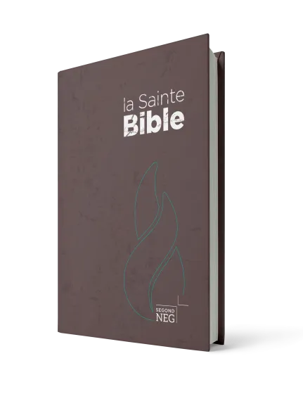 Bible Segond NEG, compacte - couverture rigide brune chocolat